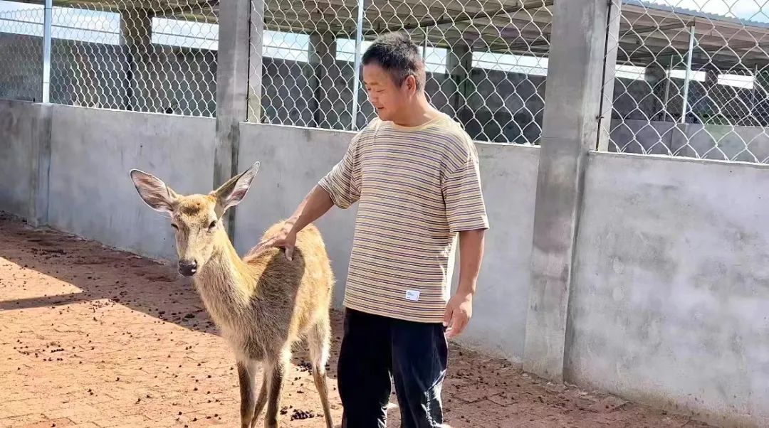 哪里能玩斗牛纸牌游戏